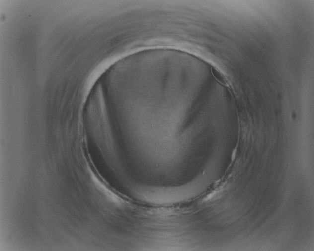 X0000067841527200604271607