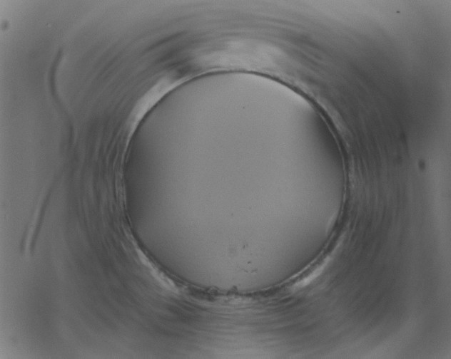 X0000067841529200604271607