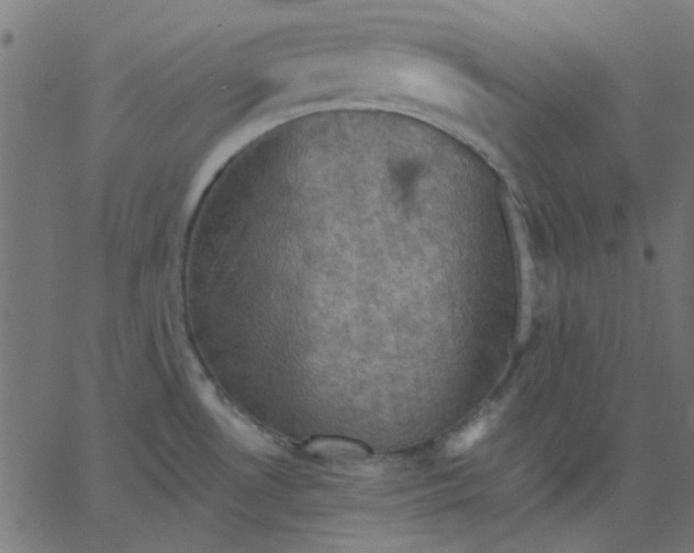 X0000067841530200604271607