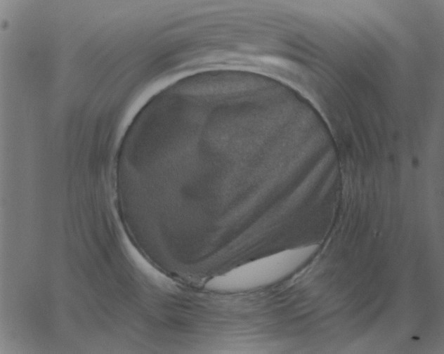 X0000067841531200604271607