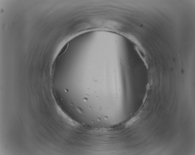 X0000067841532200604271607