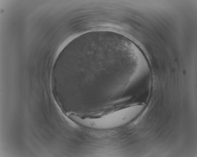 X0000067841533200604271607