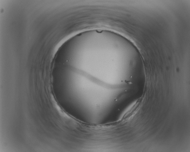 X0000067841534200604271607