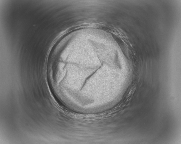 X0000067840003200605041701