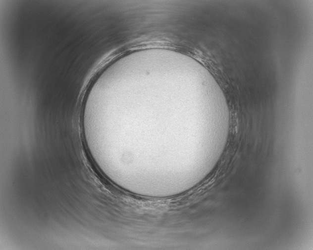 X0000067840004200605041701