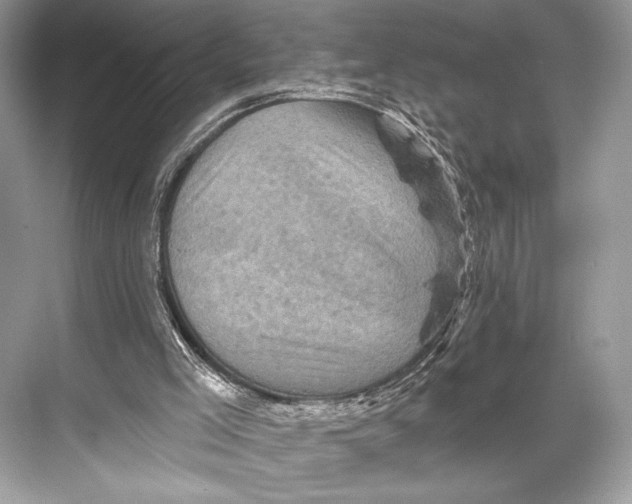 X0000067840005200605041701