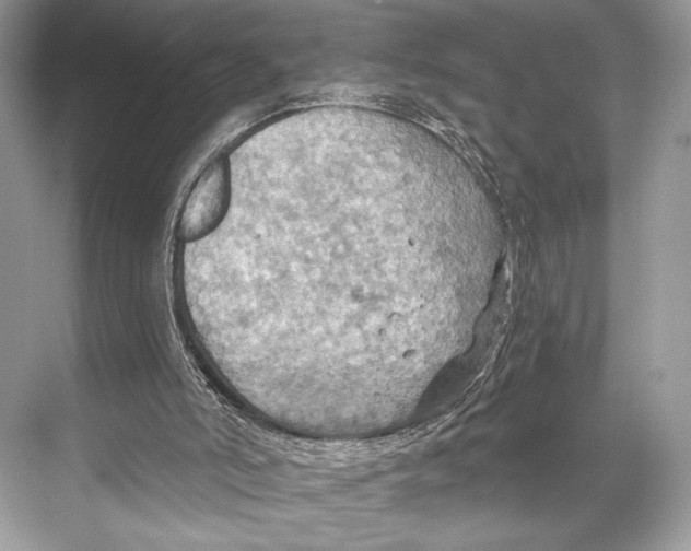 X0000067840006200605041701