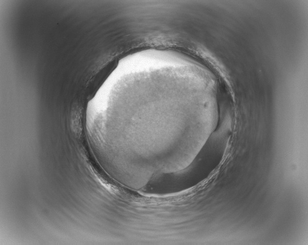 X0000067840009200605041701