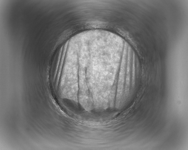 X0000067840010200605041701