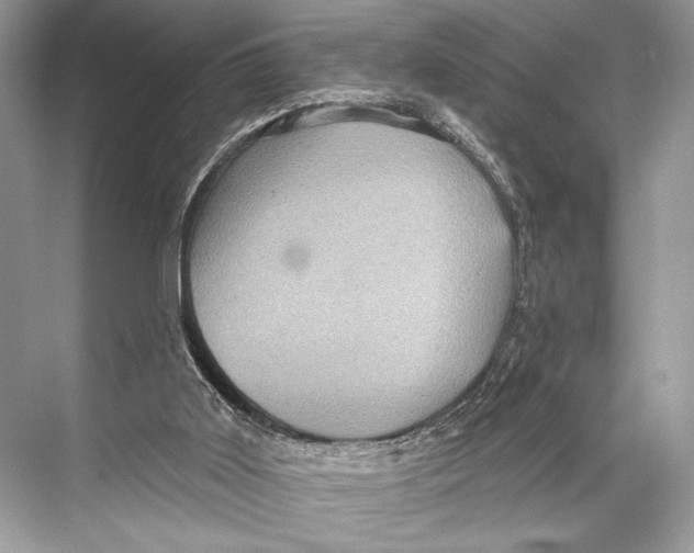 X0000067840011200605041701