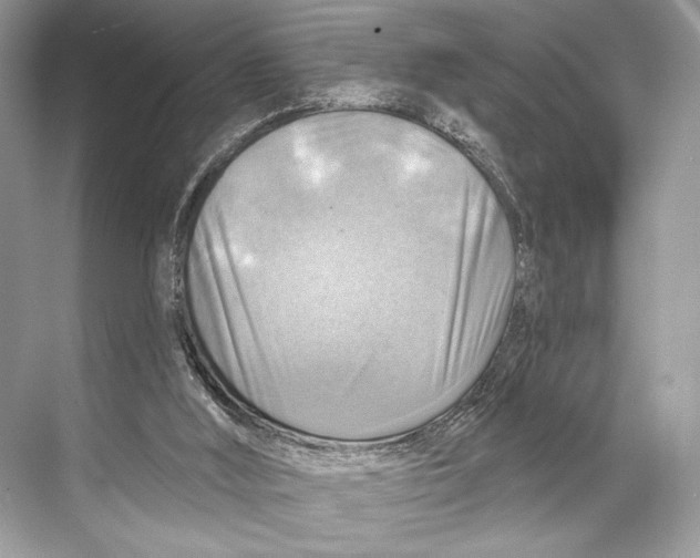 X0000067840012200605041701