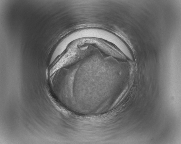 X0000067840013200605041701