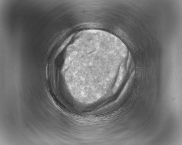 X0000067840014200605041701