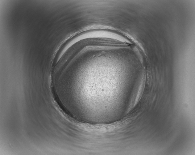 X0000067840015200605041701