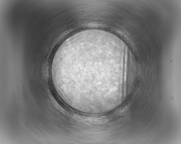 X0000067840016200605041701