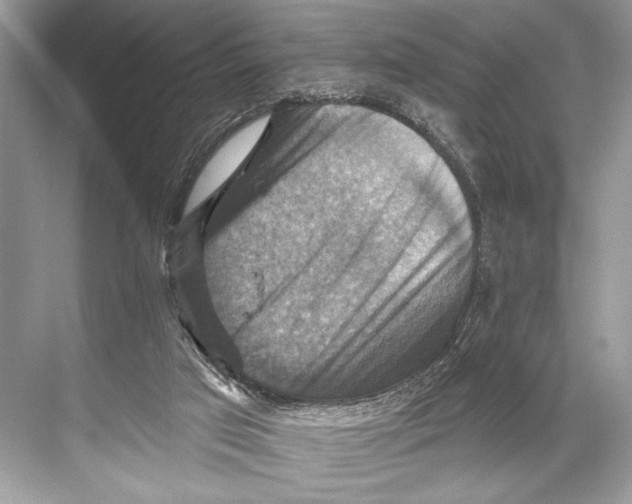 X0000067840017200605041701