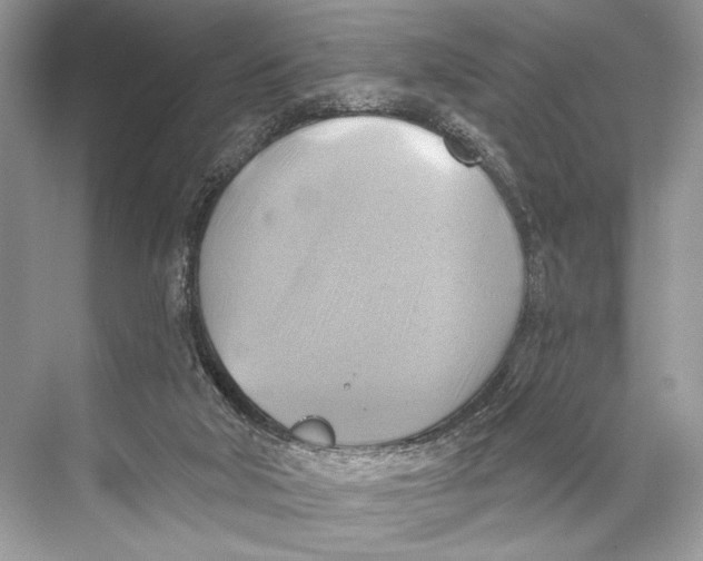 X0000067840018200605041701