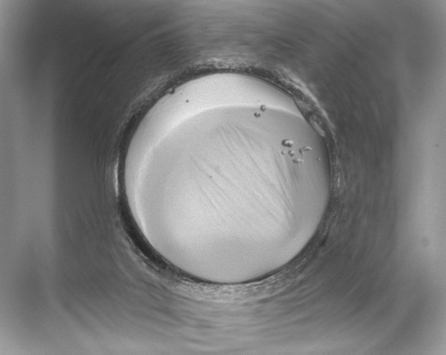 X0000067840019200605041701