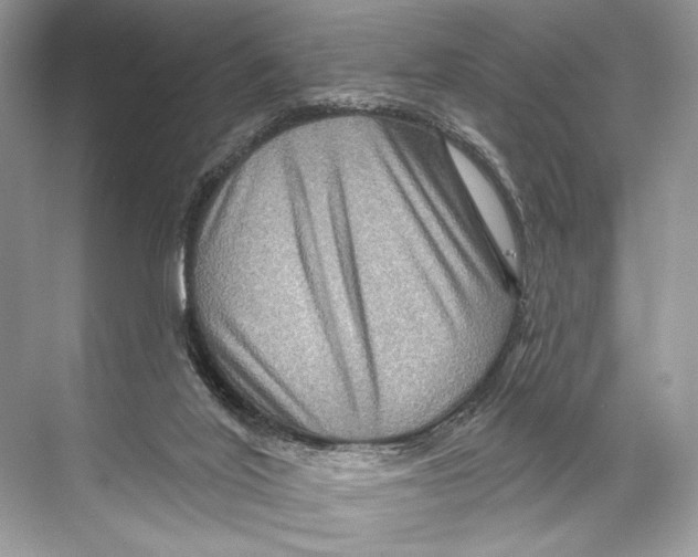 X0000067840020200605041701