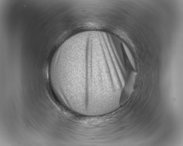 X0000067840021200605041701