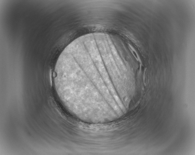 X0000067840022200605041701