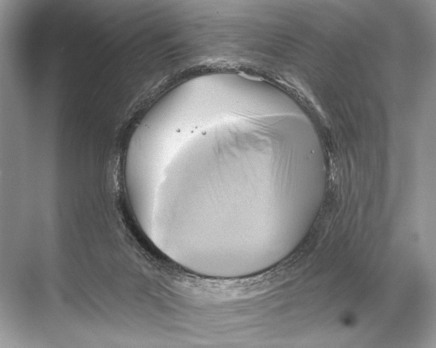 X0000067840023200605041701