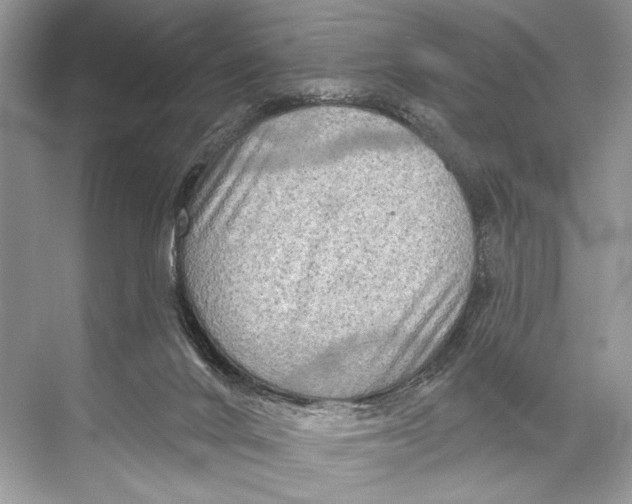 X0000067840024200605041701