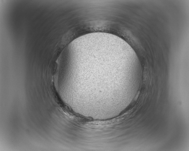 X0000067840025200605041701