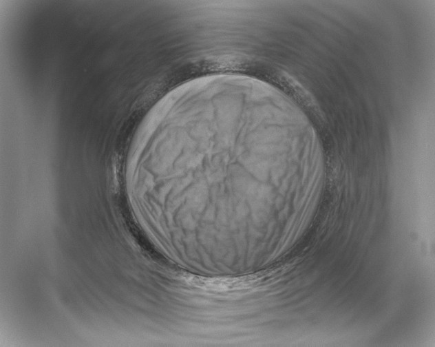 X0000067840026200605041701