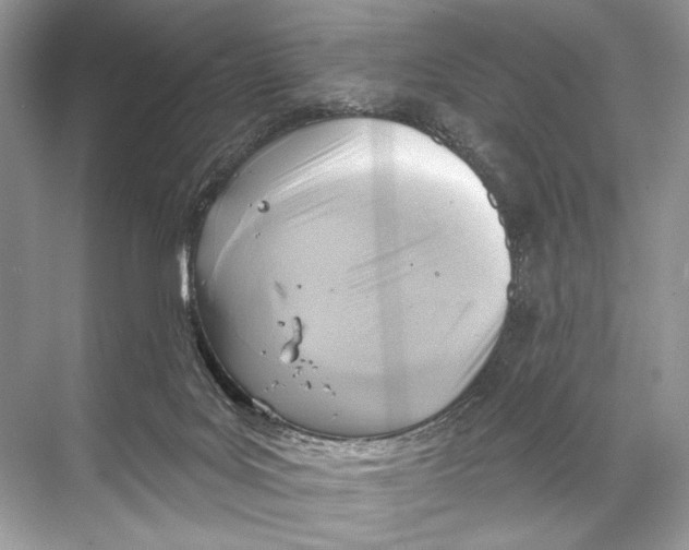 X0000067840027200605041701