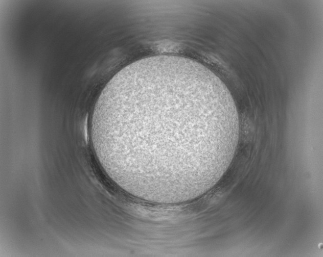 X0000067840028200605041701