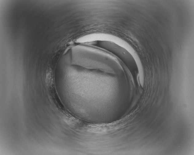 X0000067840029200605041701