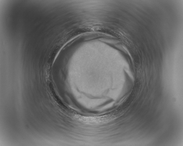 X0000067840030200605041701