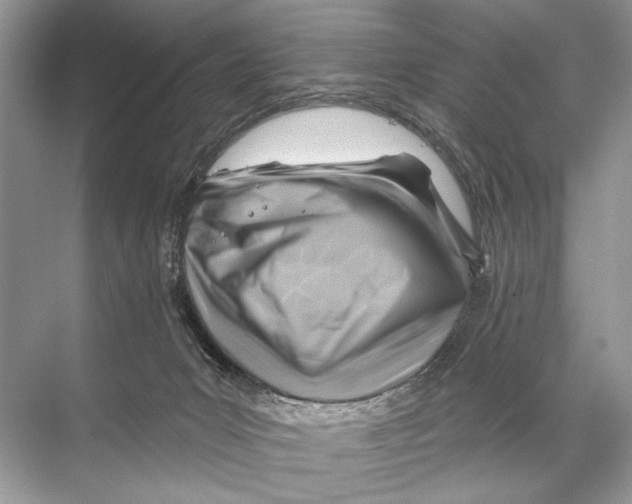 X0000067840031200605041701