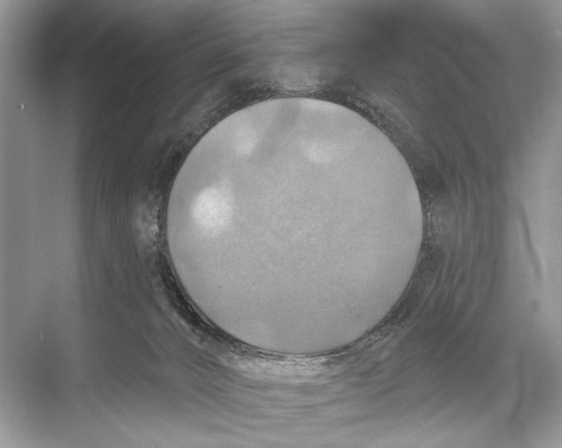 X0000067840032200605041701