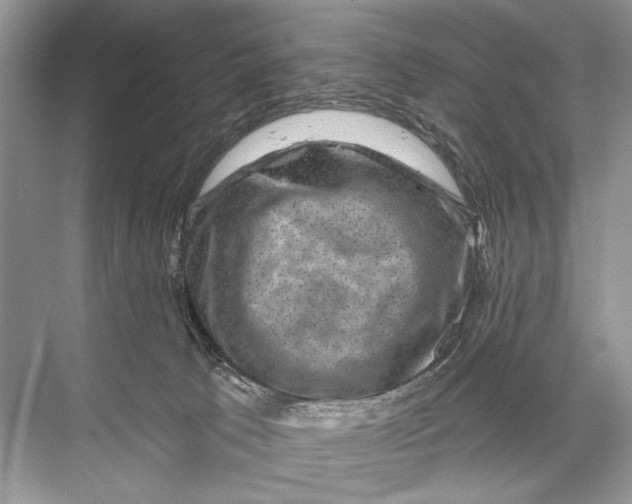 X0000067840033200605041701