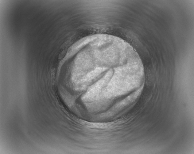 X0000067840034200605041701