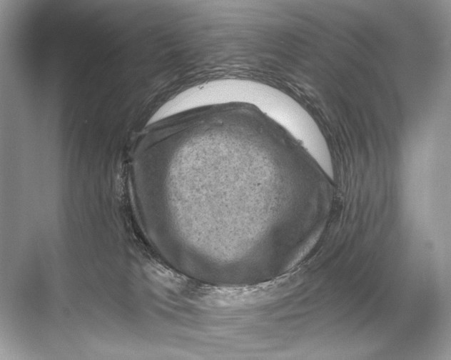 X0000067840037200605041701