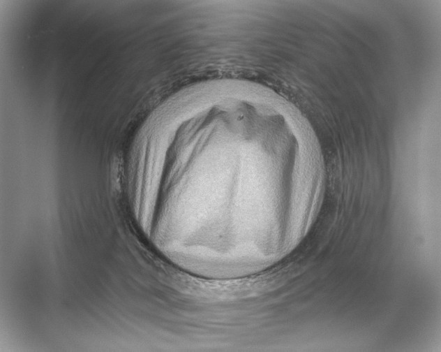 X0000067840038200605041701