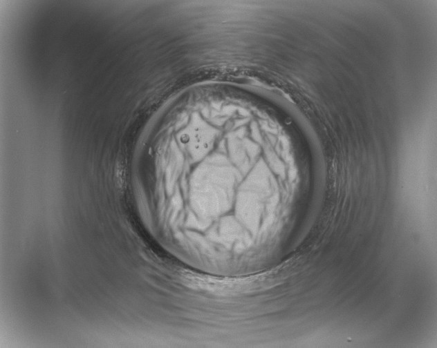 X0000067840039200605041701