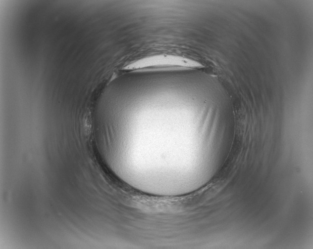 X0000067840040200605041701