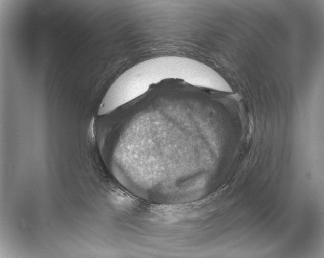 X0000067840041200605041701