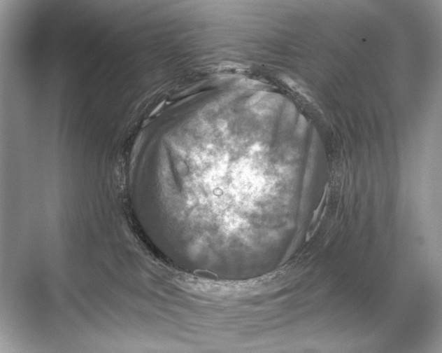 X0000067840043200605041701