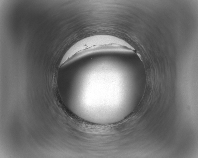 X0000067840044200605041701