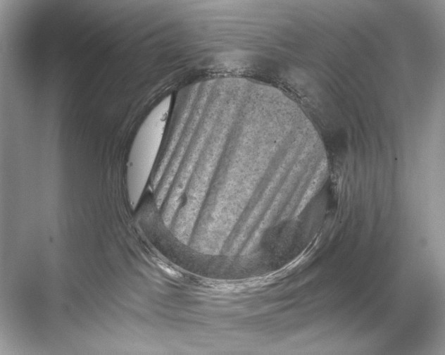 X0000067840045200605041701