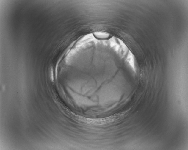 X0000067840046200605041700