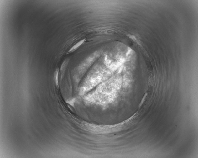 X0000067840047200605041700