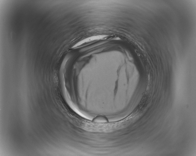 X0000067840048200605041700