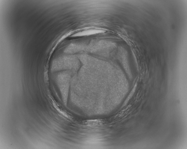 X0000067840050200605041700