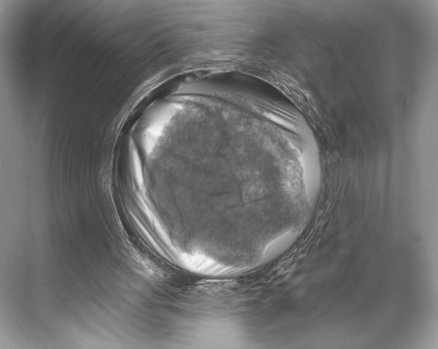 X0000067840051200605041700